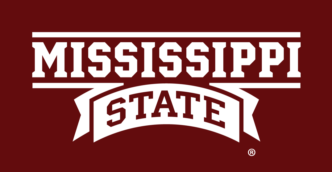 Mississippi State Bulldogs 2009-Pres Wordmark Logo v2 iron on transfers for clothing